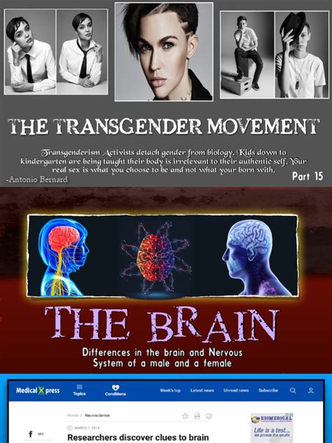 The Transgender Agenda Failed Sex Differences In The Brain And