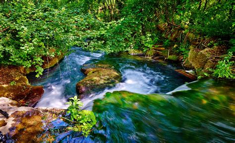 Forest Stream 4k Ultra Hd Wallpaper Background Image