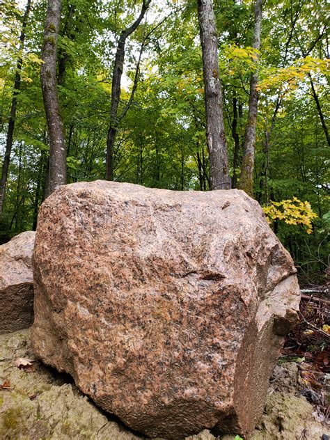 Big Rock In Forest Free Stock Photo Public Domain Pictures