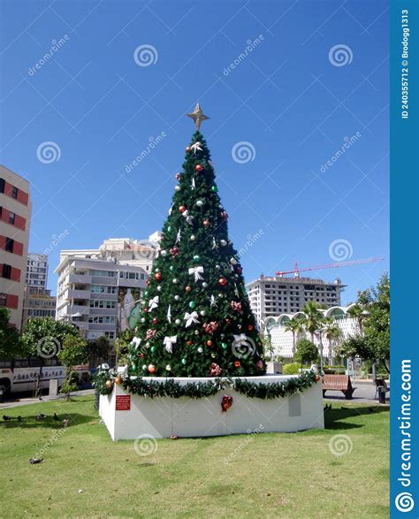 Decorated Christmas Tree In Park Editorial Photography Image Of Juan