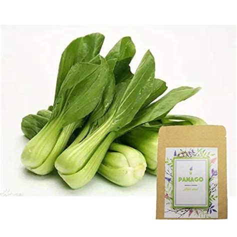 2000 Baby Bok Choy Seeds For Garden Planting Non Gmo Organic Heirloom