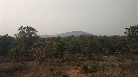Small View Of Forest Of Satpura Madhya Pradesh Youtube