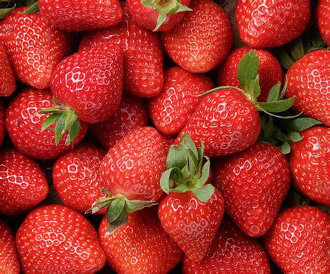 Strawberries Love Food Hate Waste Canada