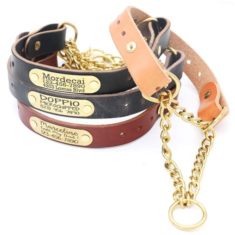 Leather Martingale Dog Collar with Personalized Nameplate