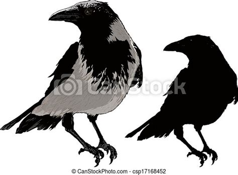 Clipart Vector Of Black Crows Seated Black Raven Image Detail And