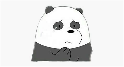 Panda Sad Tears Bear Cute Hurt Pain Tired We