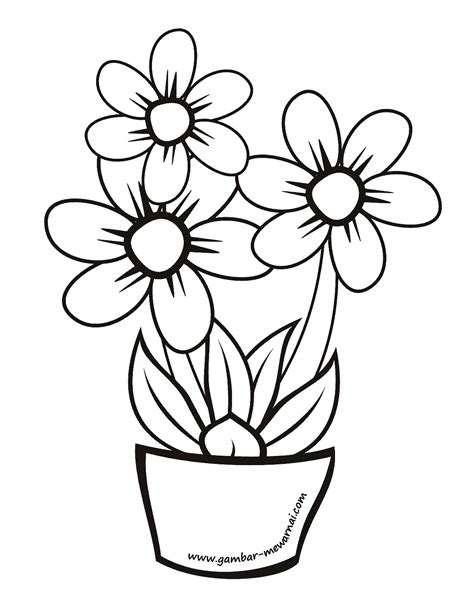 praktis mewarnai bunga contoh sketsa gambar