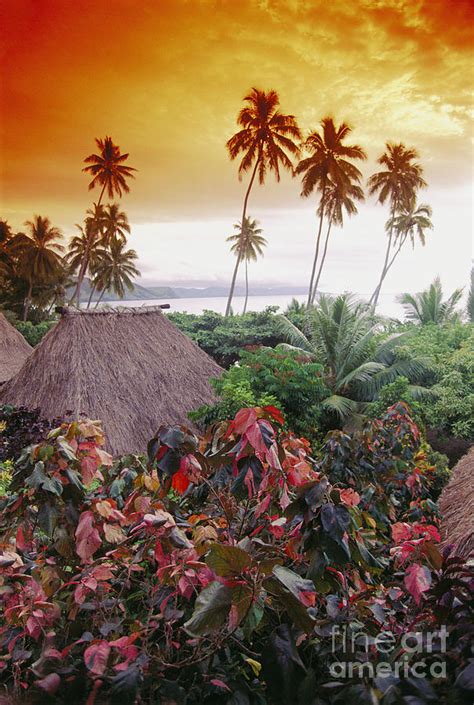 Fiji Kadavu Island Photograph By Ron Dahlquist Printscapes