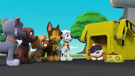 Zumagallerypups Save Breakfast Paw Patrol Wiki Fandom