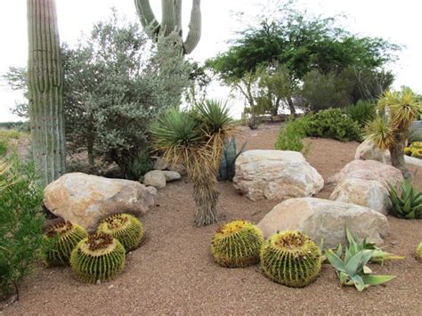 8 Steps To Diy Xeriscape Landscape Design Arizona Desert Xeriscape
