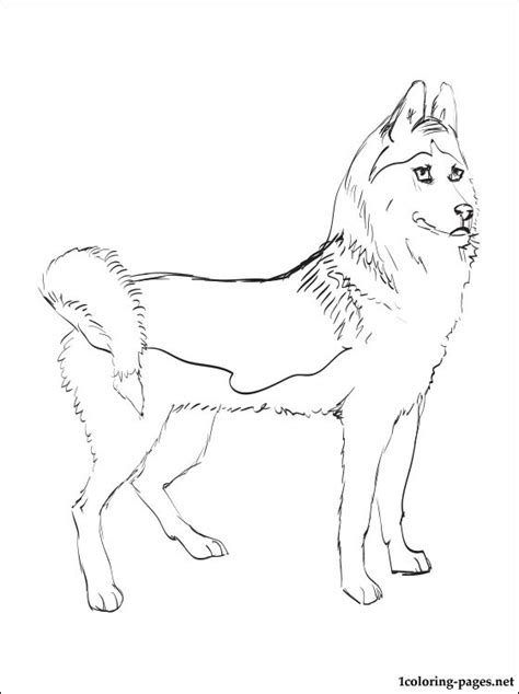 Siberian Husky Coloring Pages At Free Printable