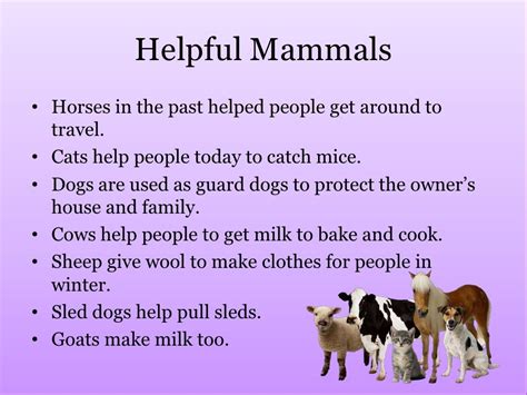 Helpful Animals By N