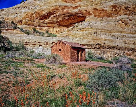 Utah Cabin Hut House Home Brick Mountains Hdr Wildflowers Flowers Brush Pikist