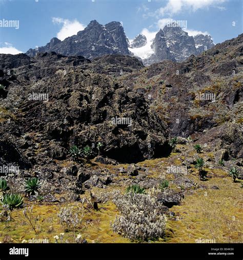 Mount Rwenzori Hi Res Stock Photography And Images Alamy