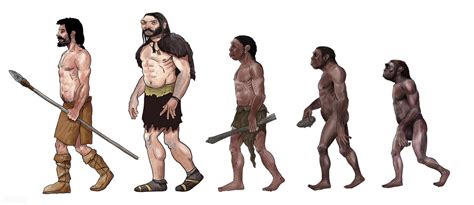 Eating Meat Promotes Human Evolution Why Did Carnivores Not Evolve Inews