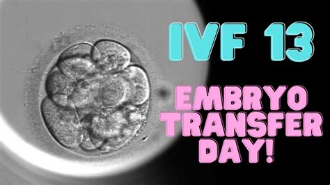 Ivf 13 Embryo Transfer Time Baby Youtube