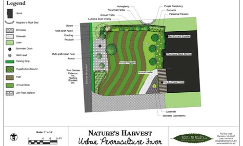 Converting Lawns To Gardens Natures Harvest Permaculture Urban Farm