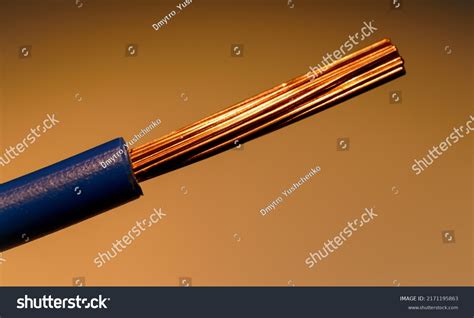 Naked Copper Wire Blue Insulation Macro Stock Photo Shutterstock