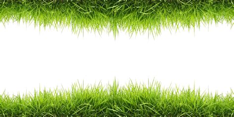 Lawn Png Image Png Mart