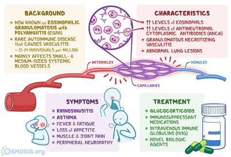Churg Strauss Syndrome What Is It Causes Diagnosis Treatment And