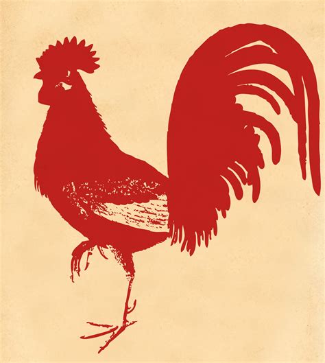 Vintage Red Rooster Free Stock Photo Public Domain Pictures