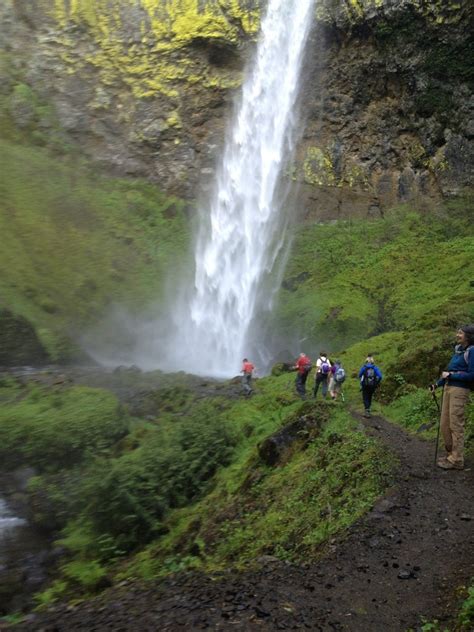 Elowah And Upper Mccord Creek Falls — Washington Trails Association