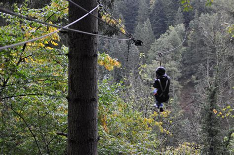 Ziplining In The Black Forest Germany Pommie Travels