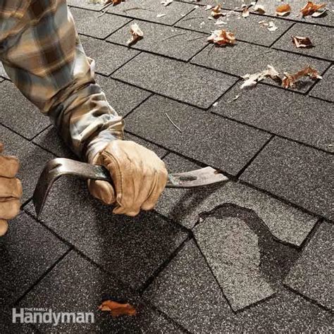 And as long as you're on the roof, inspect the others close up, as well as how do you know a shingle is damaged? Easy Shingle Repair | The Family Handyman