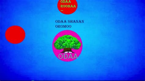 Odaa Shanan Oromoo Youtube