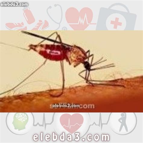 الملاريا هي مرض معدٍ يتسبب في حدوثه كائن طفيلي يسمى البلازموديوم، ينتقل عن طريق البعوض، ويتسلل هذا الطفيلي داخل كريات الدم الحمراء في جسم الإنسان فيدمرها. مقال: بحث عن مرض الملاريا | الامراض المعدية