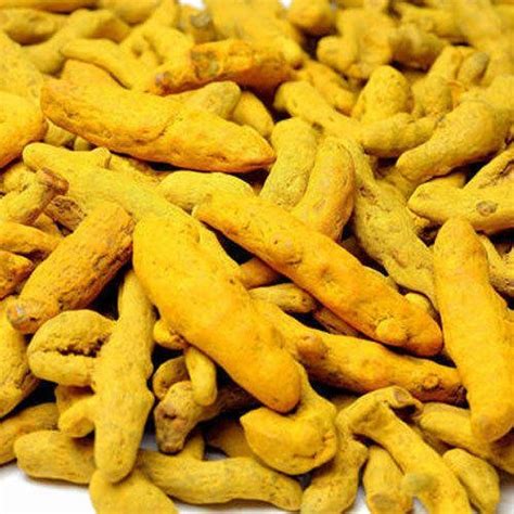 Salem Dried Turmeric Finger For Food Packaging Size 50 Kg Gunny Bags