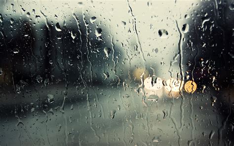 10 Things To Do On A Rainy Day Tallypress