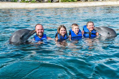 Puerto Plata Ocean World Adventure Park Schwimmen Mit Delfinen