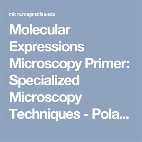 Molecular Expressions Microscopy Primer Specialized Microscopy