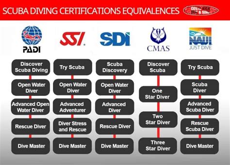 What Is The Best Scuba Diving Certification Padi Naui Ssi Sdi