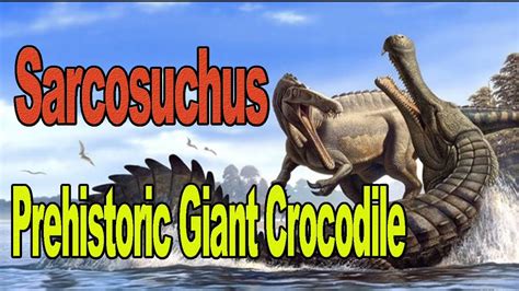 Sarcosuchus Giant Prehistoric Crocodiles Did They Eat Tyrannosaurs Youtube