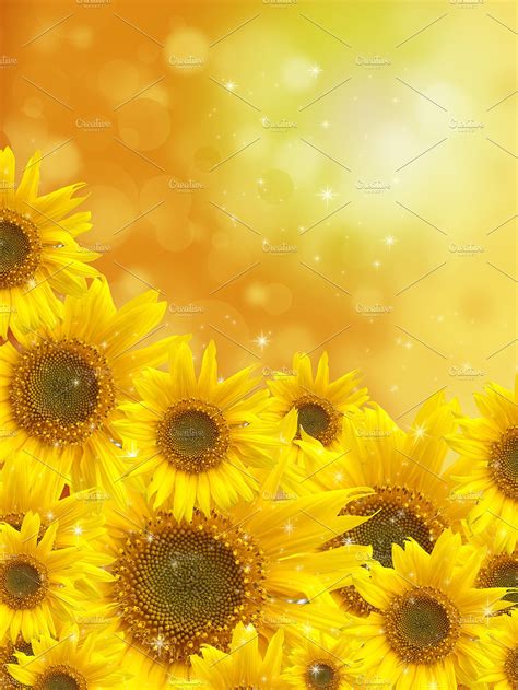 Sunflowers On Blurred Background High Quality Abstract