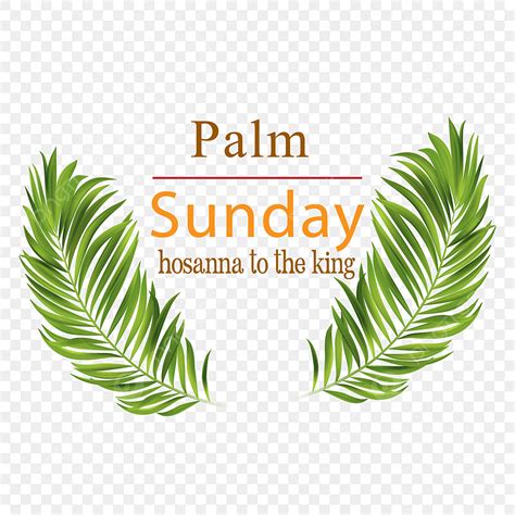 Palm Sunday Vector Hd Png Images Palm Sunday Free Image How Is Maundy