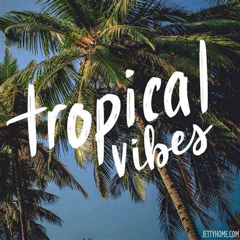 Tropical Quotes And Sayings Shortquotescc