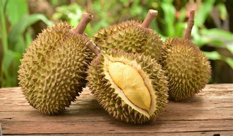Durian fans will definitely know of goodwood park hotel's yearly durian fiesta. Jackfruit VS Durian: How Can You Tell One From The Other ...