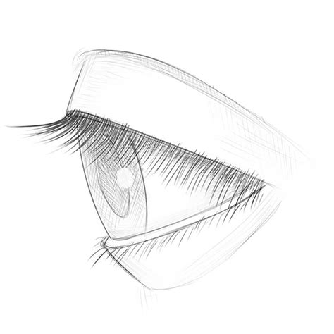 How To Draw An Eye From The Side