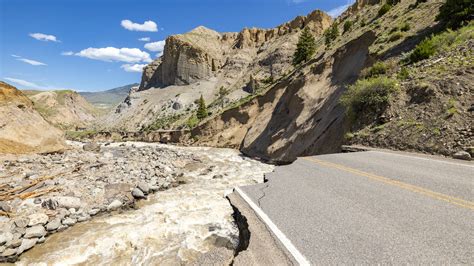 The Long Road To Recovery At Yellowstone · National Parks Conservation