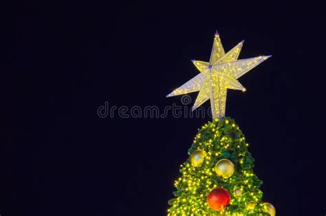 Outdoor Christmas Tree Decorated With Various Lovely Seasonal Colors