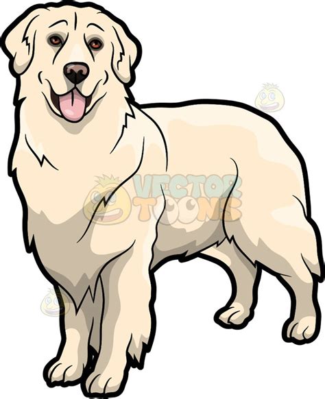 Golden Retriever Clipart At Getdrawings Free Download