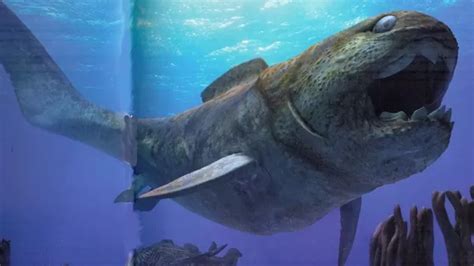 The megalodon shark and predator x, a prehistoric marine reptile, were massive predators whose teeth allowed them to cut their prey to ribbons. Which prehistoric marine predator would win in a fight ...