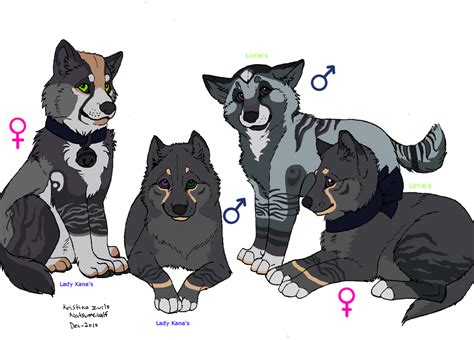 Ruvel And Akaris Pups Lines By Natsumewolf By Rinzuka On Deviantart