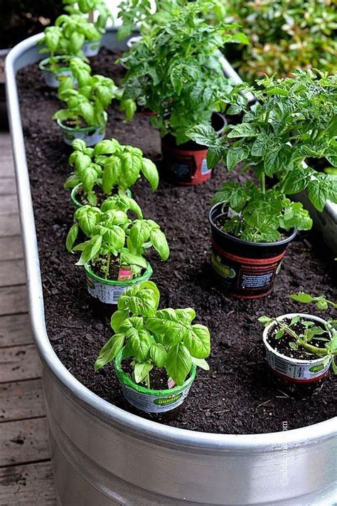 Famous Container Vegetable Gardening Beginners Ideas Atelieartemae