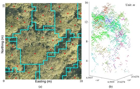 Remote Sensing Free Full Text Airborne Lidar Remote Sensing For