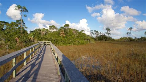 Everglades National Park Holidays Book Cheap Holidays To Everglades