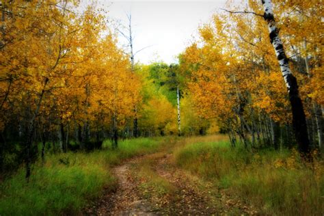 An Autumn Dream Fan Photofridayblack Hills And Badlands